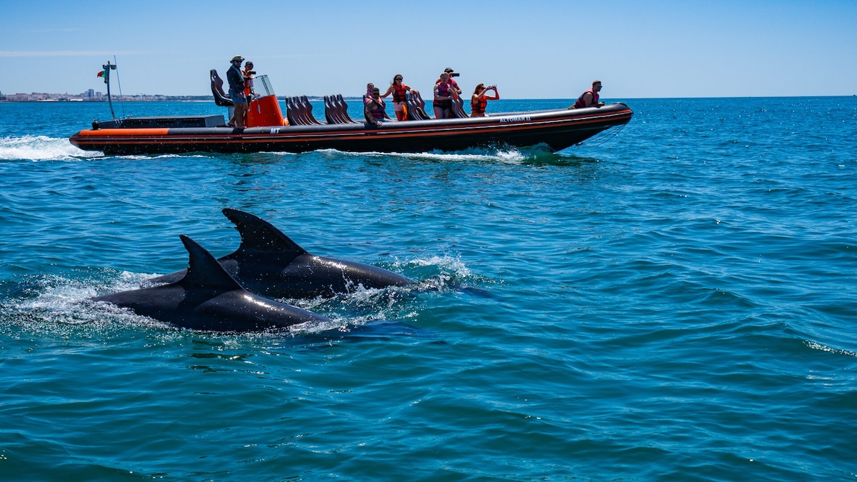 DOLPHIN-WATCHING-CAVE-TOUR-ALGARVE-1 | Water Sports Vilamoura A boat filled with eager adventurers approaches the enchanting entrance of Benagil Cave, revealing the cave's majestic arch against the backdrop of the Algarve's crystal-clear waters